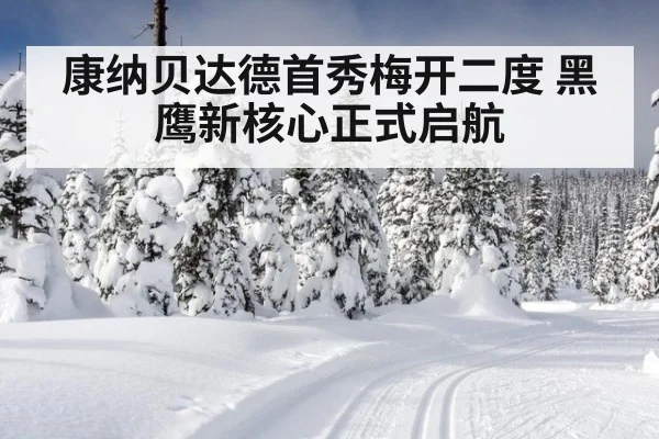 康纳贝达德首秀梅开二度 黑鹰新核心正式启航